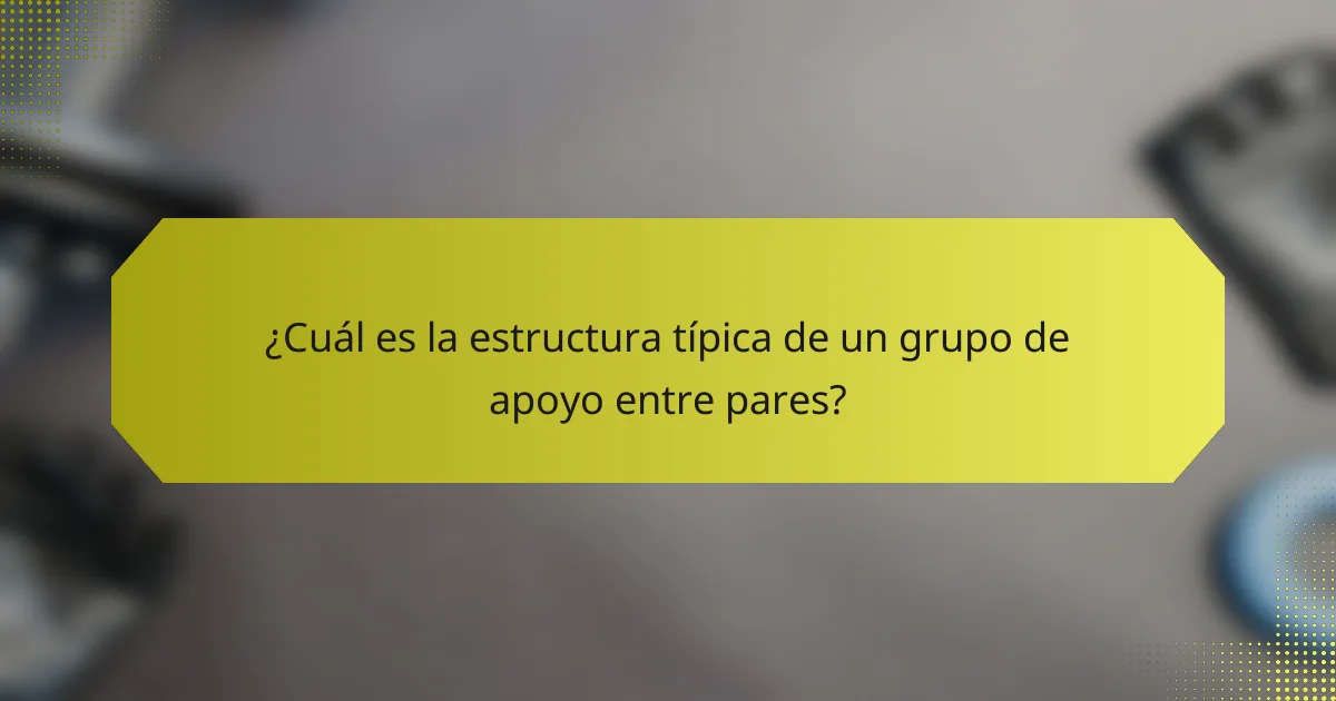 ¿Cuál es la estructura típica de un grupo de apoyo entre pares?